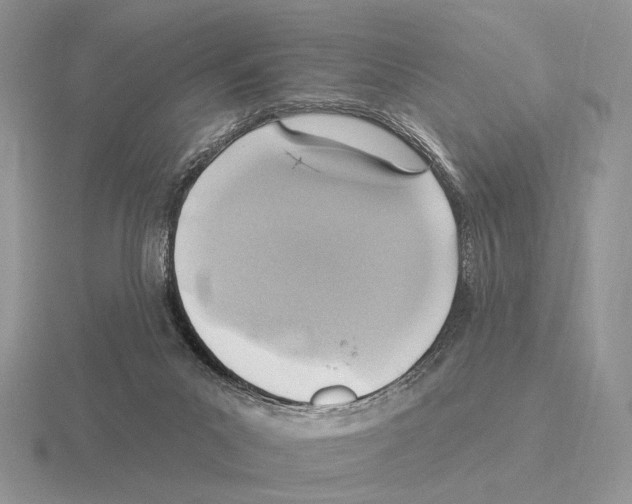 X0000115380023200912151448