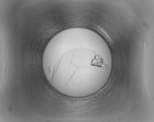 X0000115380025200912151448