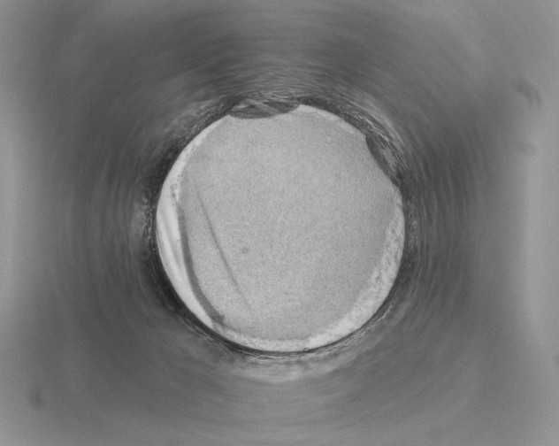 X0000115380029200912151448