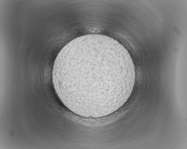 X0000115380030200912151448