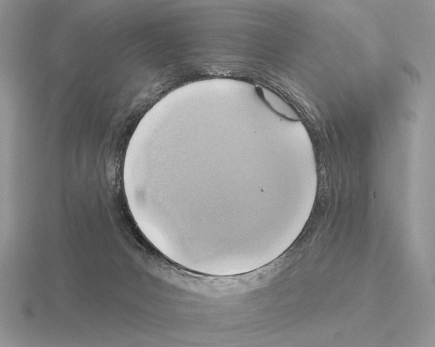 X0000115380031200912151448