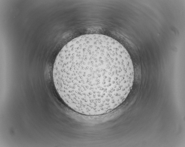 X0000115380038200912151448