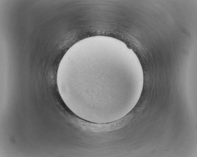 X0000115380039200912151448