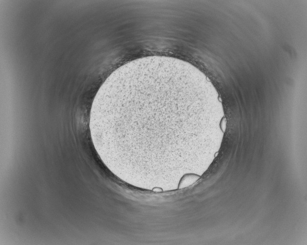 X0000115380040200912151448