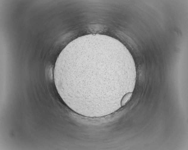 X0000115380042200912151448