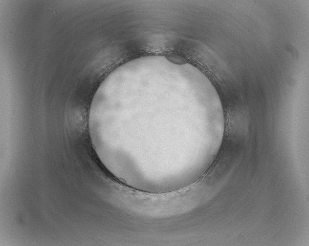 X0000115380043200912151448