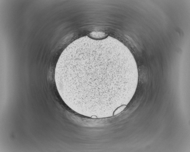 X0000115380044200912151448