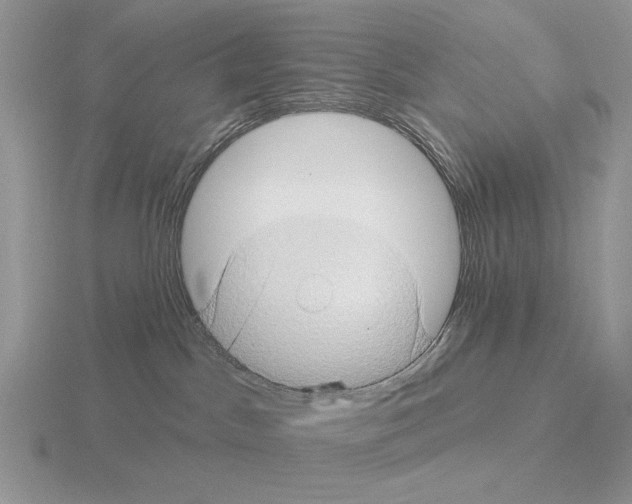 X0000115380045200912151448