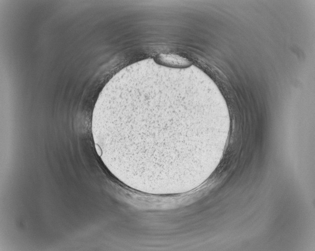 X0000115380048200912151448