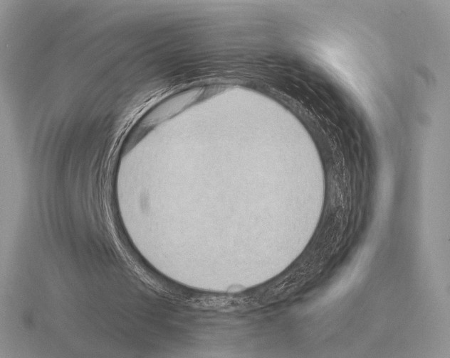 X0000115380049200912151447