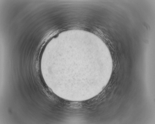 X0000115380050200912151447