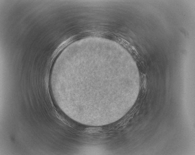 X0000115380051200912151447