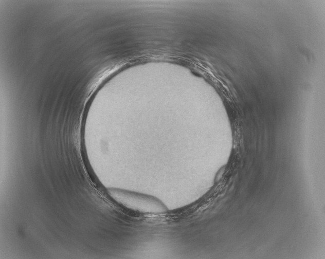 X0000115380052200912151447