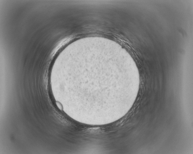 X0000115380054200912151447