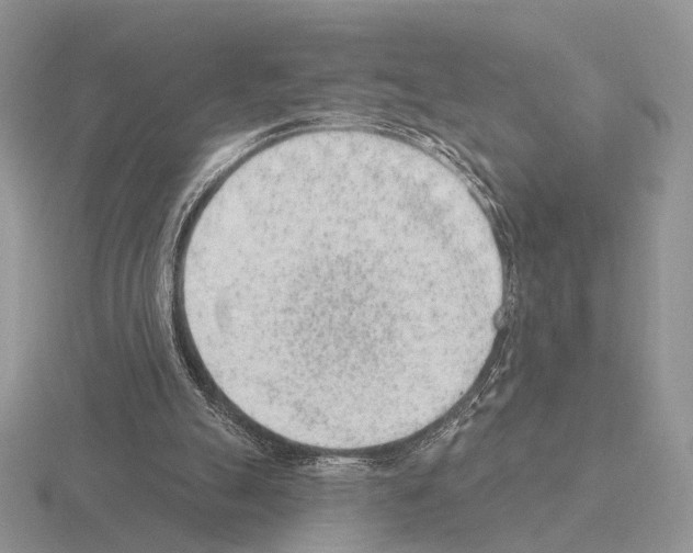 X0000115380055200912151447