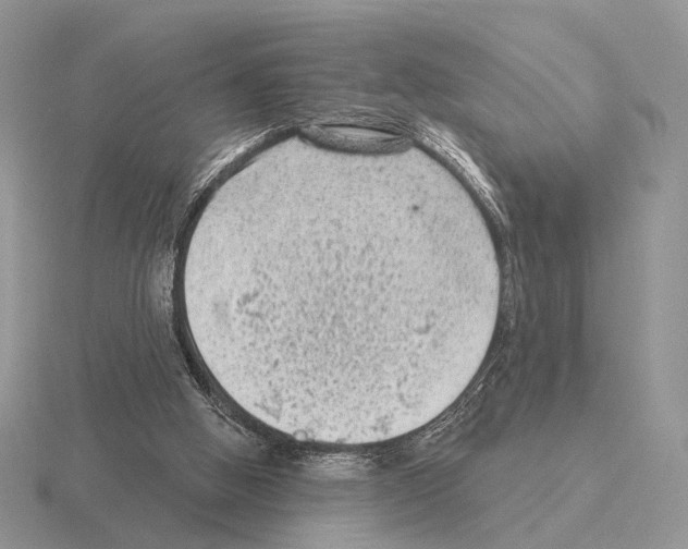 X0000115380058200912151447