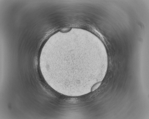 X0000115380059200912151447