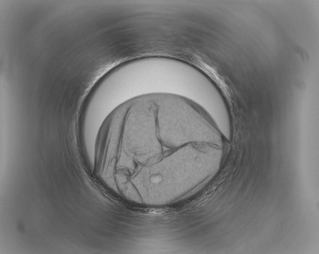 X0000115380060200912151447