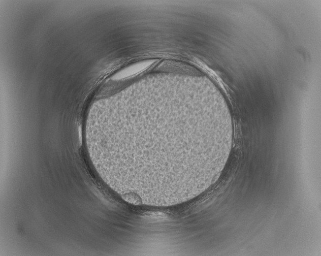 X0000115380061200912151447