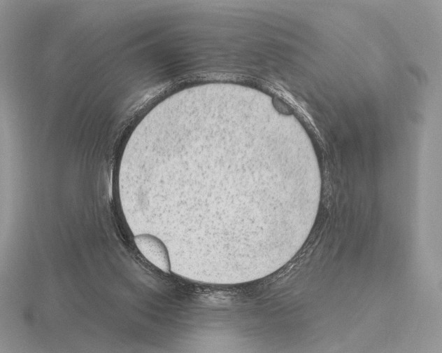 X0000115380062200912151447