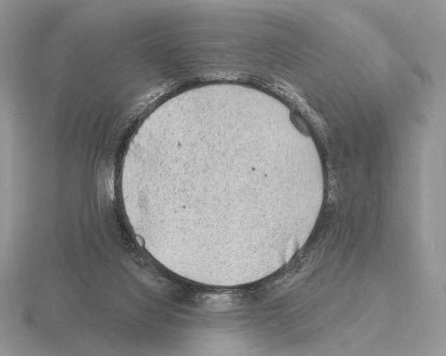 X0000115380068200912151448