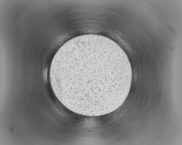 X0000115380070200912151448