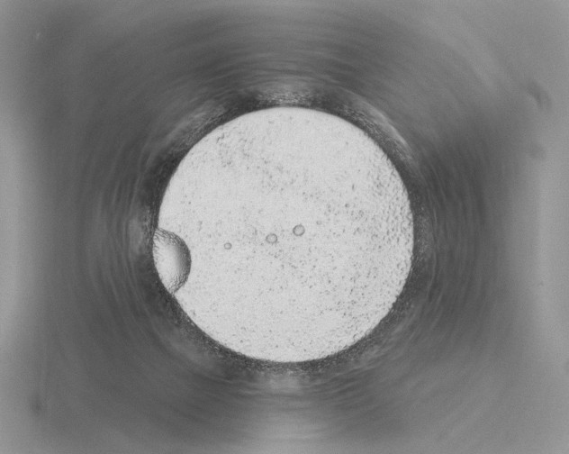 X0000115380073200912151448