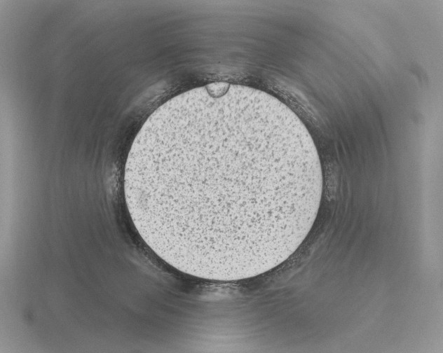 X0000115380077200912151448