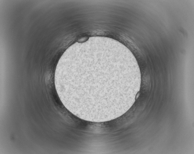 X0000115380079200912151448