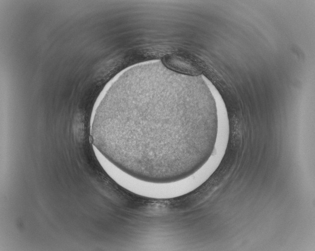 X0000115380080200912151448