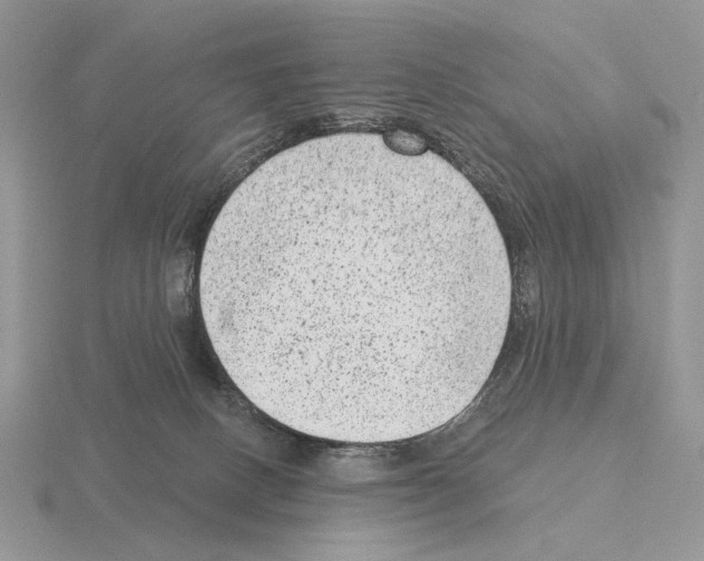 X0000115380082200912151448