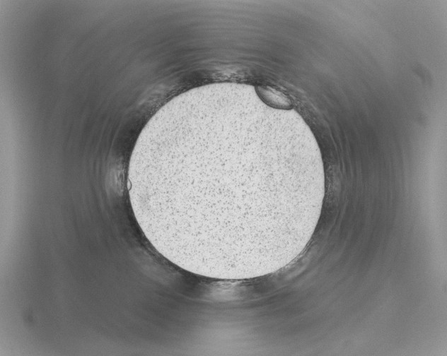 X0000115380090200912151448