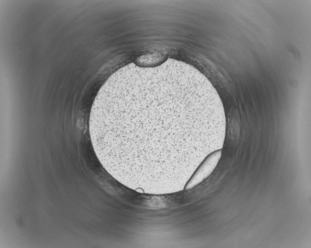 X0000115380091200912151448