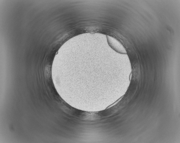 X0000115380093200912151448