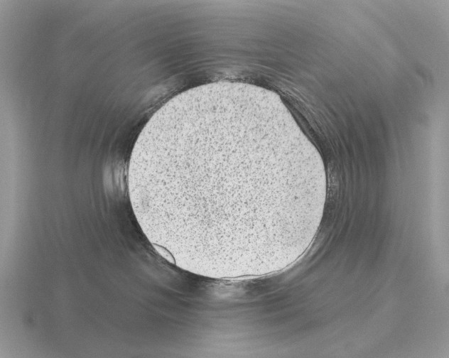 X0000115380094200912151448