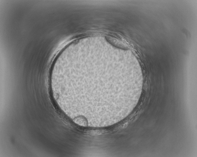 X0000115380103200912151447