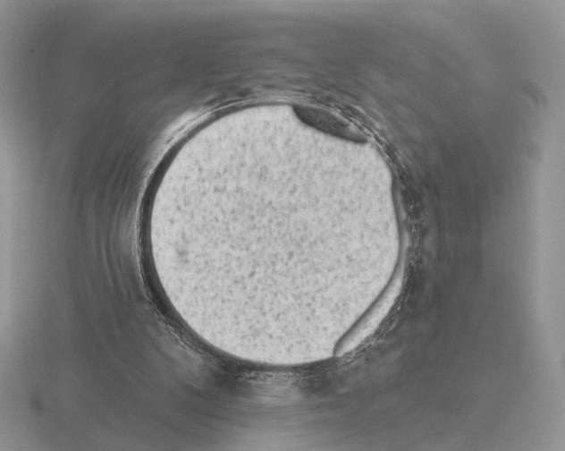 X0000115380104200912151447