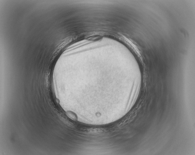 X0000115380105200912151447