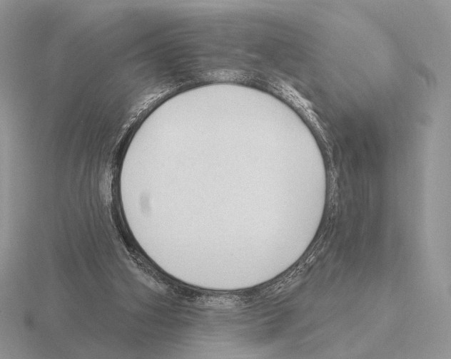 X0000115380106200912151447