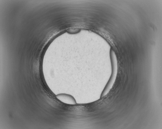 X0000115380108200912151447