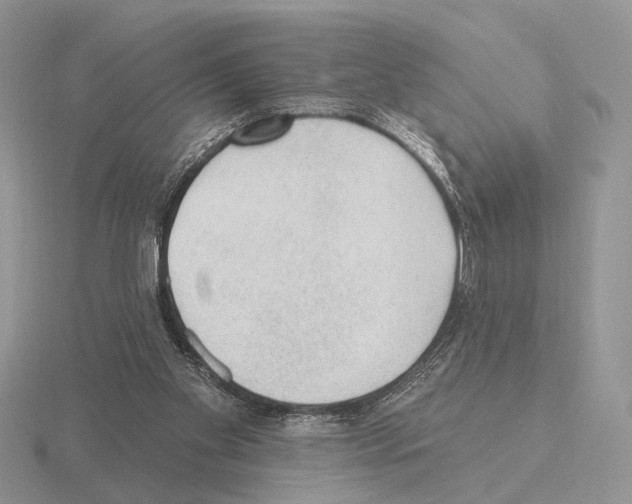 X0000115380109200912151447