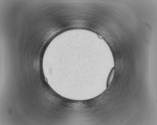 X0000115380112200912151447