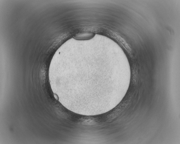 X0000115380113200912151447