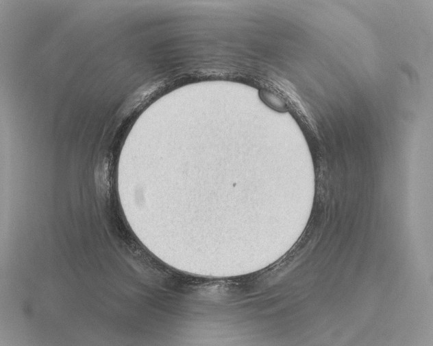 X0000115380116200912151447