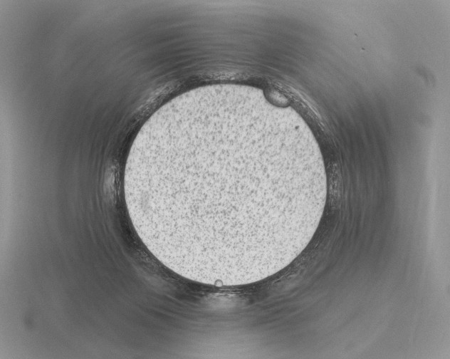 X0000115380119200912151447