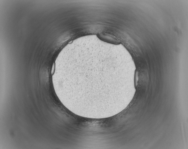 X0000115380120200912151447