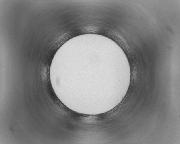 X0000115380122200912151447