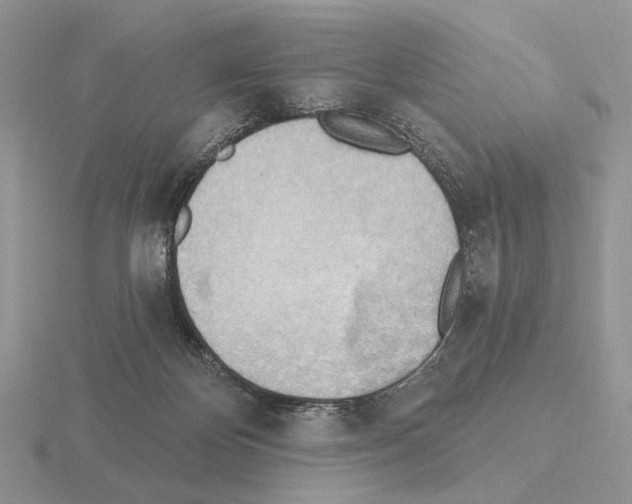 X0000115380124200912151447