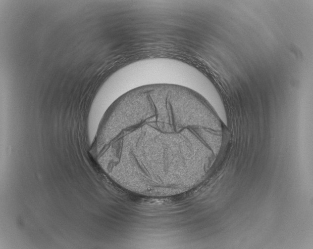 X0000115380129200912151447