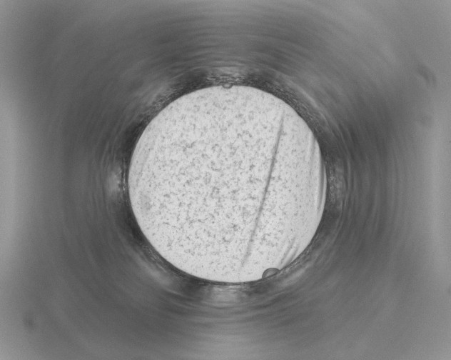 X0000115380134200912151447